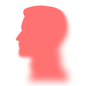 Pro